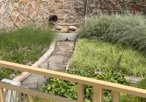 超声波多普勒流速仪