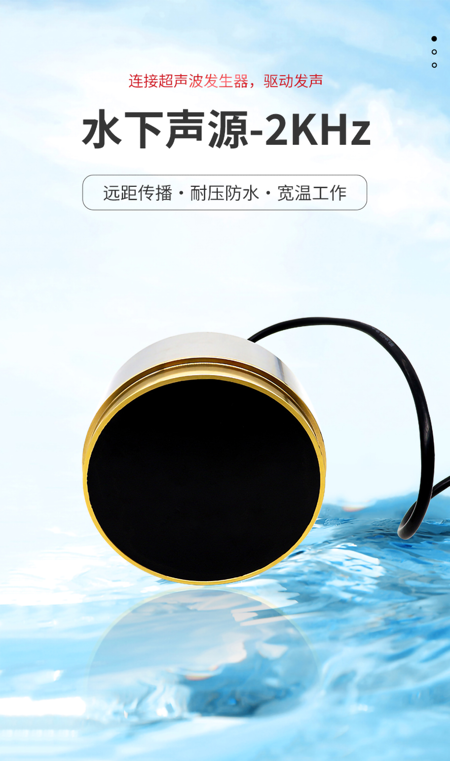 DYW-2K-1000A其他用途换能器_01.jpg