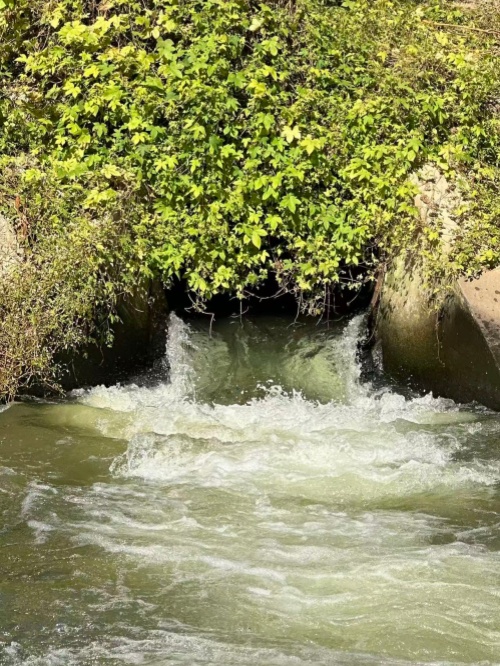 177423778095539.jpg 下水道.jpg