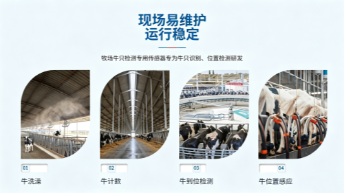 178721192555166.png 图片比例调整 (3)_副本.png